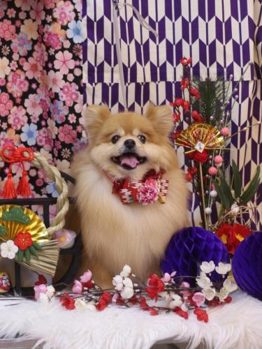 20250105梛都ちゃん